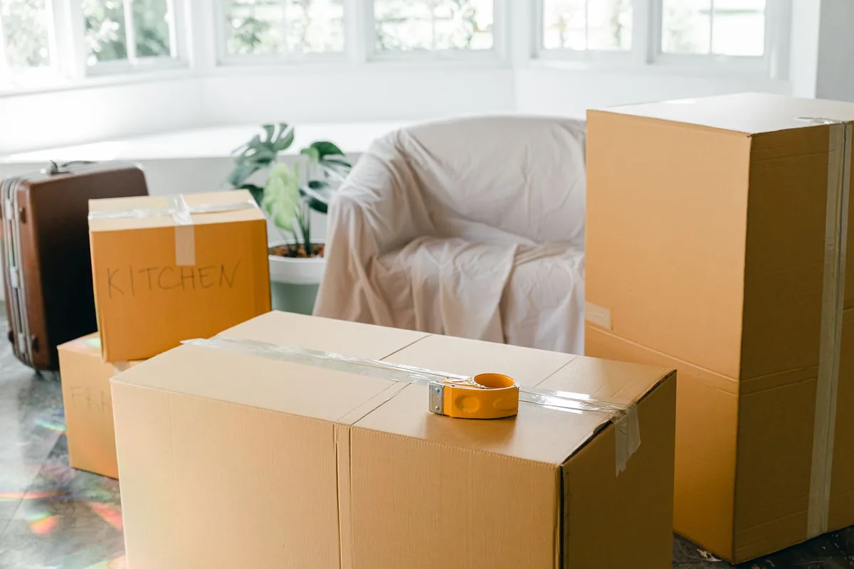 Hoarding Cleanup in Wildwood Heights, St. Petersburg, FL